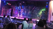 Safari Cat Dancers Show And Dinner