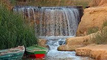 Full-Day Fayoum Oasis and Waterfalls of Wadi El-Rayan Tour from Cairo