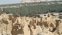 Budget Travel Package to Siwa Oasis from Cairo or Giza