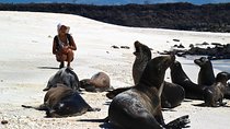 5 days Galapagos hightlights express
