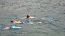 Montego Bay Shore Excursion: Private Snorkel Tour