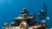 Scuba Diving Certification Montego Bay PADI