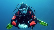 Discover Scuba Diving From Ocho Rios