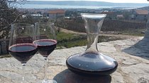 Split wine tour-indigenous sorts of Kastela region