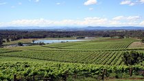 Private Hunter Valley Wine-Tasting Day Tour from Sydney