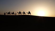 Private tour to Giza pyramids and Sphinx including sunrise camel ride