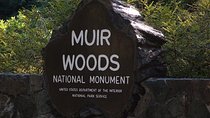 Muir Woods, Sausalito and Tiburon Day Trip from San Francisco