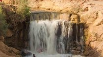 Valley of Whales and Wadi El Rayan Water Falls Day Tour from Cairo