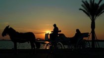 Aswan City Private Tour by Horse Carriage