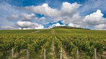 Private Day Tour: Chablis Vine from Paris