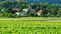 Burgundy 2 Day Private Tour from Paris 