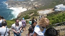 Best of the Cape (Cape Point & Winelands)