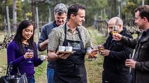 Chef-Led Hunter Valley Gourmet Food and Wine Day Tour from Sydney