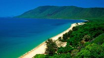 Cairns Reef/Rainforest : Daintree Rainforest & Great Barrier Reef