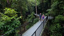 4-Day Cairns with Great Barrier Reef and Daintree Rainforest