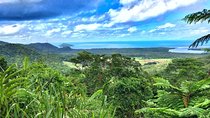 Private Cape Tribulation & Mossman Gorge Day Tour