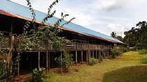 Traditional Bidayuh Longhouse and Empurau Experience from Kuching