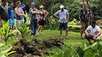 Secret Oahu Hawaii Culture Tour With A Local Guide
