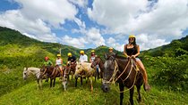 Rainforest Magic Horseback Riding Waterfall Tour Private Park Setting