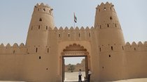 Al Ain City Sightseeing - Al Ain Museum & Forts & Camel Market & Mosques & More