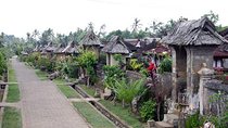 Full Day Kintamani and Penglipuran Village Private Chartered Car Tour from Bali