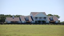 Combination Southfork Ranch and Dallas/JFK Highlights Tour