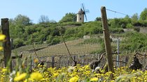 Private Wine Tour to Burgundy Region from Paris