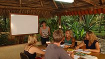 1- or 2-Week Spanish Immersion Program in Tamarindo