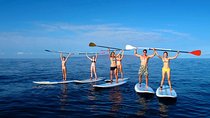 Private Beginner Paddleboard 101 Lesson: Polo Beach, Turtle Town