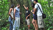Tropical Trekking Tour from the Old Hindu Village - Taro Ubud