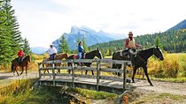 2 Hour Banff Horseback Riding Adventure