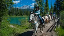 1 Hour Bow River Ride