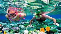 Reef Snorkel, underwater adventure in Puerto Morelos With Transportation & Lunch