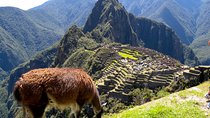 4 Day - Machu Picchu Special - Group Service