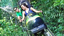 Jamaica Bobsled Adventure (Mystic Silver) Tour from Kingston