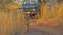 Golden Triangle with Ranthambore Tour