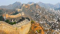 Adventure and Discover Jinshanling Great Wall Hiking Tours