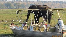 Chobe Day Trip From Victoria Falls Zimbabwe