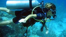 Discover Scuba Diving PADI in Playa del Carmen including underwater video