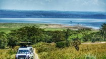 Full Day Lake Nakuru Park and optional boat ride on Lake Naivasha