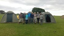 4 days group joining budget safari Serengeti and Ngorongoro national parks