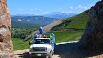 La Plata Mountains - Half Day Tour