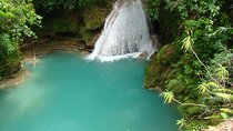 [PRIVATE] Dunn's River Falls, Blue Hole & Secret Falls w/Entrance