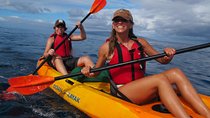 South Maui Kayak and Snorkel Tour with Turtles