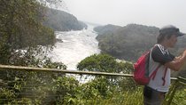 5 Days Murchison falls and Jinja trip