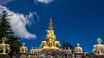 Chengdu Panda Leshan Buddha and Mount Emeishan 2 Days Tour