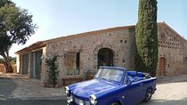 Private Trabant Cabrio Tour in Mallorca Including Wine Sampling