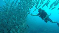 Scuba Diving Hermosa and Coco Beach for Certified Divers