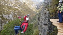 Zip Line and Wine from Cape Town 
