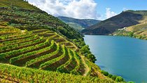 Douro Valley Private Wine Tour From Porto